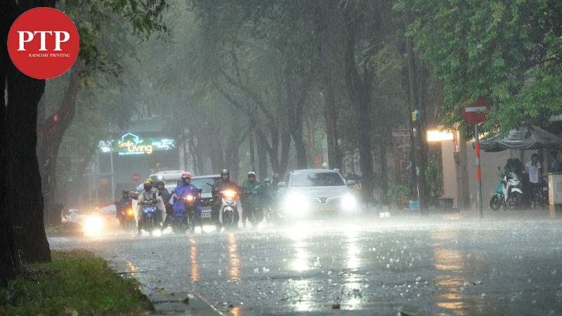 Mùa mưa ở Sài Gòn từ tháng mấy? Kéo dài bao lâu? 5 Tháng 10 vẫn thuộc nhóm những tháng có lượng mưa cao tại Sài Gòn.